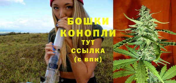 амф Арсеньев