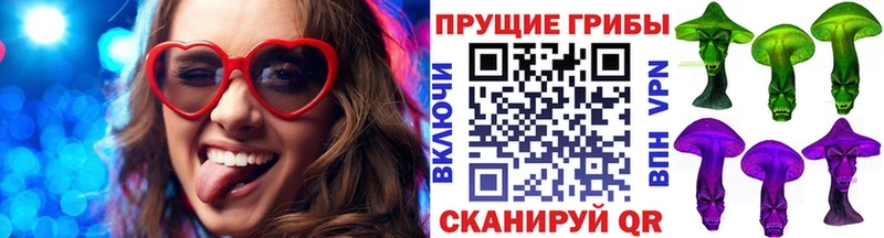 мега как зайти  Безенчук  Псилоцибиновые грибы мухоморы 